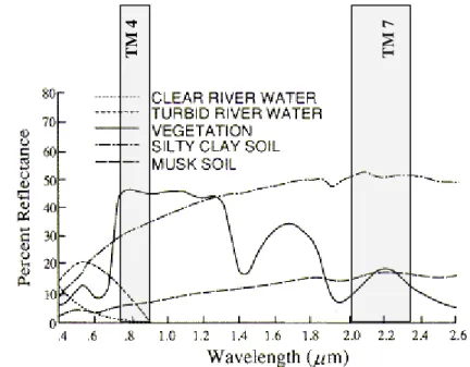 Figure 2: Spectral reflectance of vegetation, soil and water (Remote Sensing Notes, 1999)   