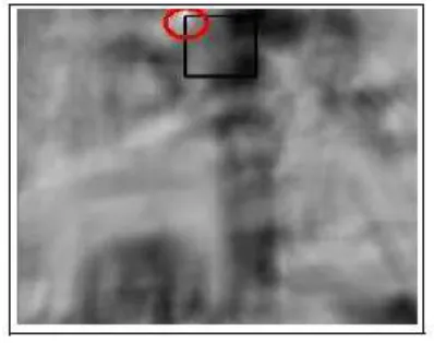 Figure 3. Resultant showing maximum match 