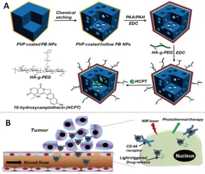 Figure 1. Engineering procedure (A) and functional description (B) of hyaluronic acid grafting polyethylene glycol modified hollow Prussian blue nano-particles loading 10-hydroxycamptothecin for tumor-targeted thermochemotherapy