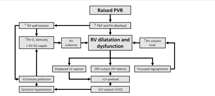 Figure 3Pathophysiology of right ventricular failure. CO, cardiac output; LV, left ventricle; PAP, pulmonary artery pressure; PVR, pulmonary vascularresistance; RV, right ventricle.