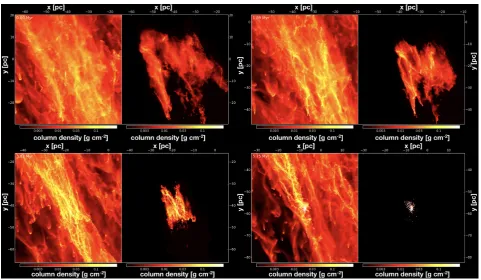 Figure 4. The face-on view evolution of the most massive cluster forming region calculated at four diﬀerent times