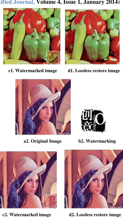 Fig. 9 The visible lossless Digital watermarking experiments 