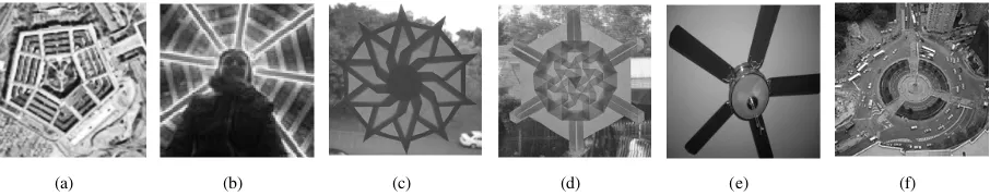 Fig. 7.The real images used in our experiments. The proposed method was able to detect the correct order of symmetry for the ﬁrst ﬁve patterns (see Fig.8)