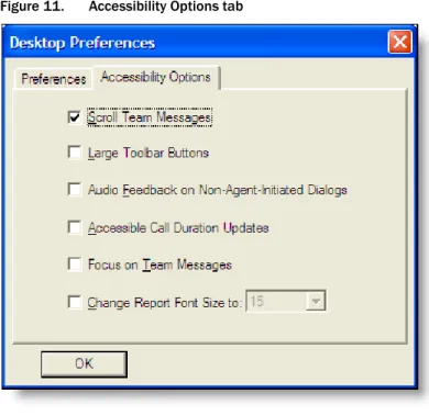 Figure 11.  Accessibility Options tab