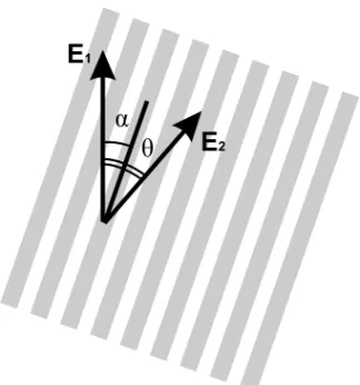 Figure 1. Directions of polarizations of incident E1 and reflected from DOE E2 light 