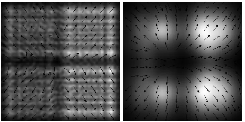 Figure 4. Sketch of designed DOE (grating-polarizer) 