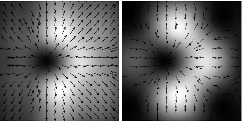 Figure 6. Focal point sections obtained by the focusing of linearly polarized light (a) and radially polarized light reflected from conversion plate (b) at the distance of λ/2 from the axicon 