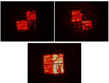 Figure 9. Image of conversion plate when the angle between output polarizer and horizontal axis equals to (a) 45 degree, (b) 135 degree, and (c) 90 degree 