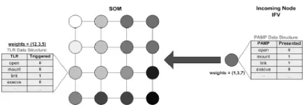 Figure 1. TLR implementation within a SOM