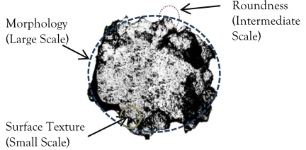 Figure 2: The particle size distribution curves at various depths relative to the surface level of Dam section 