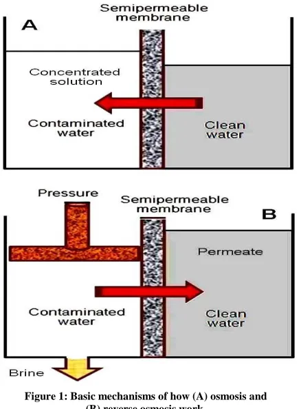 Figure 1: Basic mechanisms of how (A) osmosis and  (B) reverse osmosis work. 