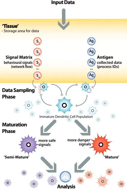 Fig. 6 Illustration of the DCA showing data input, continuous sampling, the maturation process and aggregateanalysis.