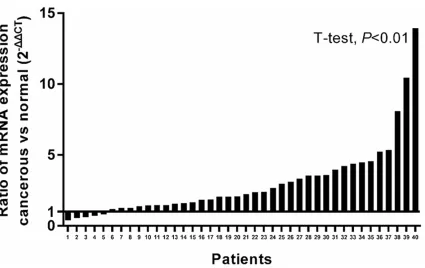 Table 1. Overexpressed eIF subunits in colon cancer specimens identified by bioinformatics analysis of LCM LongSAGE libraries and LCM microarray