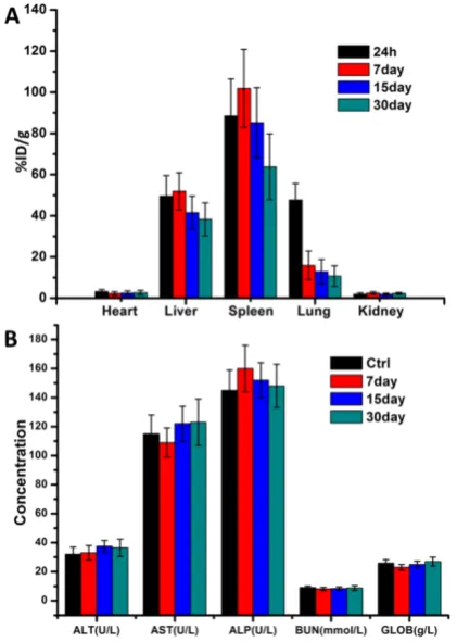 Figure 7. No obvious toxic effect was observed for Ce6-CPT-UCNPs plus laser treated mice
