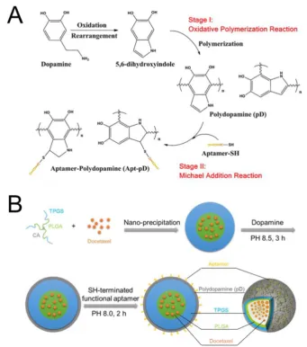 Figure 1. (A) Synthesis of aptamer-conjugated polydopamine film through Oxidative Polymerization and Michael Addition Reaction