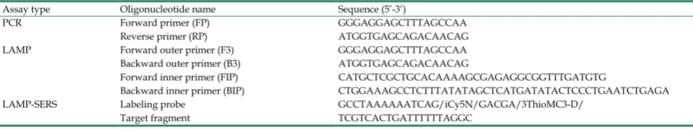 Table 1. List of DNA sequences used in this study. 