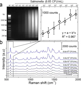 Figure 5. Detection sensitivity of the developed LAMP-SERS assay. (a) Electrophoresis patterns of LAMP amplification products generated from different concentrations of Enteritidis DNA template