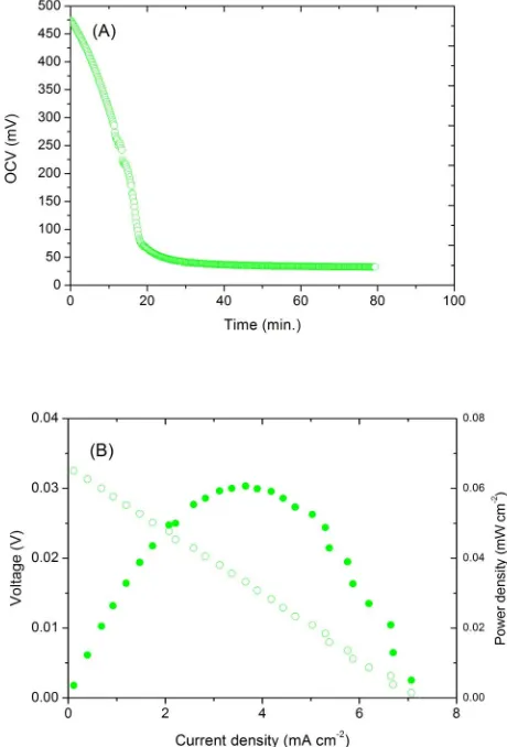 Figure 1 |H (A) The recorded potential change from a H2/air cell to aH2/5%H2-Ar concentration cell; (B) The I–V and power curves of the2/5%H2-Ar concentration cell.