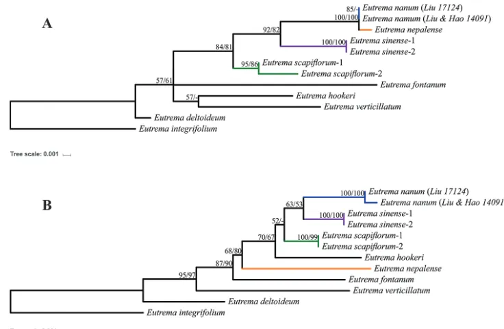 Table 3. Tree statistics for analyses of the datasets.