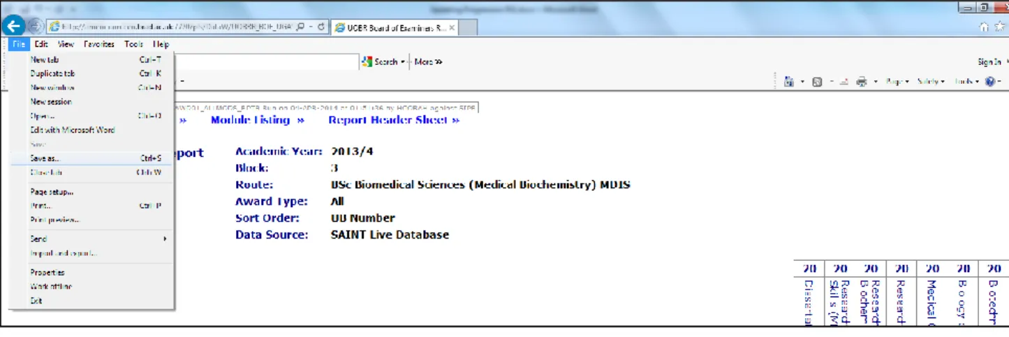 Figure 1.1a – Opening ‘Save As’ from a web-based report 