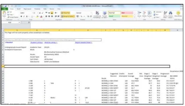 Figure 1.5a - Report imported into Excel as HTML, prior to running Macro formatting. 