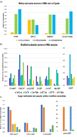 Figure 6 Analysis of modified nucleoside and nucleotides 