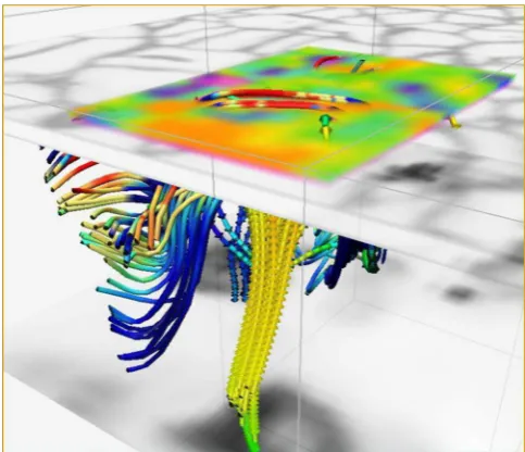 Fig. 10. Loop-like magnetic ﬁeld structure (blue and red ﬁeld lines)created by a convective ﬂow (yellow arrows show the ascendingparts of the ﬂow, while the transparent grey scale shows the cellularpattern at the solar surface)