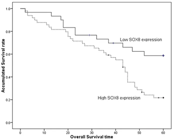 Figure 2. Kaplan-Meier curves with univariate analyses (log-rank) for patients with high and low SOX9-expressing in NSCLC patients