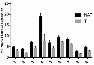 Figure 3. miRNA124 directly regulate the expression of SOX8. A. Dual luciferase reporter assay indicate miRNA124 vector didn’t alter the relative luciferase activity between them