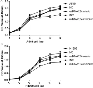 Figure 5. Cell growth was significantly interrupted by deregulated the expression of miRNA124 in A549 (A) and H1299 (B).