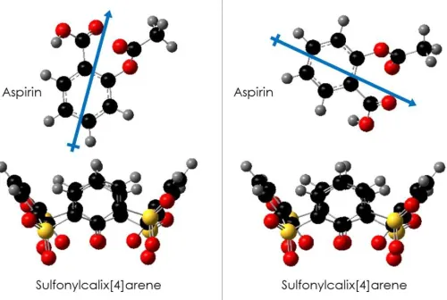 Figure 6 Two orientations of host and guest 