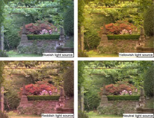 Fig. 1. These images show the same scene, provided under four different light sources