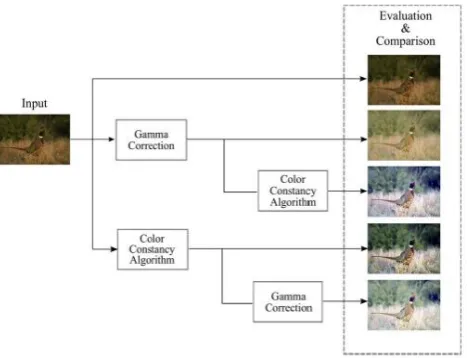 Figure 4. Experimental evaluation of four approaches combining color constancy and gamma correction algorithms.(adapted                 from [8]) 