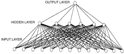Figure 1. Schematic diagram of the network structure showing input, hidden and output layers 