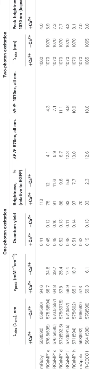 Table 3 | Photophysical parameters of RCaMPs, R-GECO1, and parent ﬂuorescent proteins.