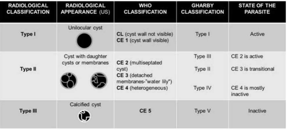 Table 2Classifications of the hepatic hydatid cysts and their imaging correlate