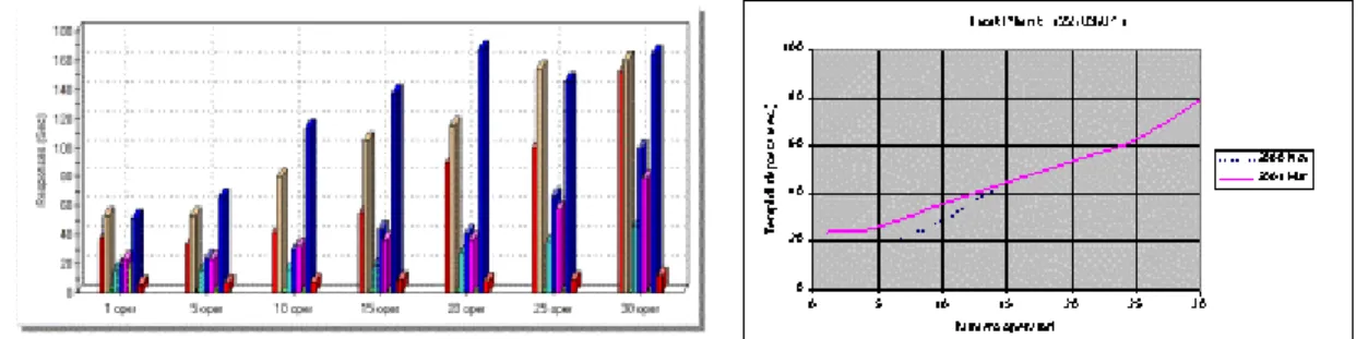 Figure 7: Example of output produced by a load test session 