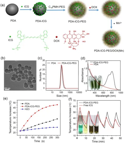 Figure 1.Preparation and characterization of PDA-ICG-PEG.(a) A scheme showing the synthesis of PDA-ICG-PEG nanoparticles, as well as the followed drug loading and metal and PDA-ICG-PEG at same PDA concentrations (0.014 mg/ml) under irradiation by the 808-n