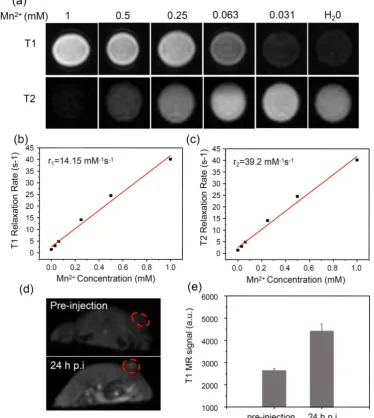 Figure 4. MR imaging.(a) T1 and T2 weighted MR images of PDA-ICG-PEG/DOX(Mn) with various Mn14.15 mMrates (c) of PDA-ICG-PEG/DOX(Mn) aqueous solutions with different Mn2+ concentrations