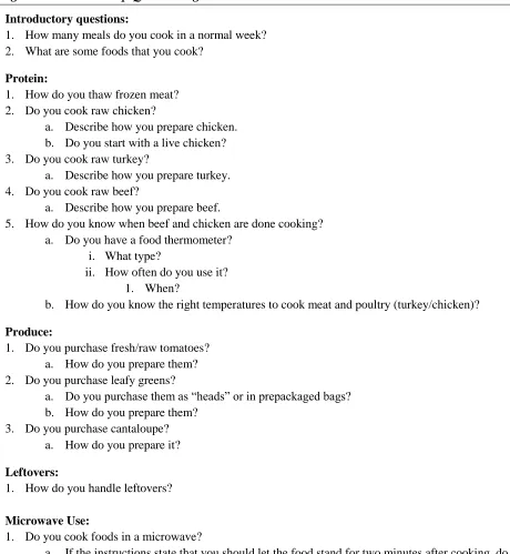 Figure 1.  Focus Group Questioning Route 