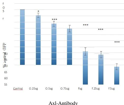 Figure-5 Axl-specific antibodies role in the entry of the 