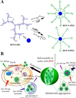 Figure 6.tumor cells. (C, D) Time-dependent fluorescence microscope images of MCF-7 cells copolymers