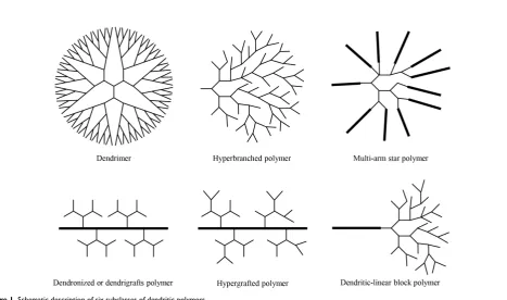 Figure 1. Schematic description of six subclasses of dendritic polymers. 