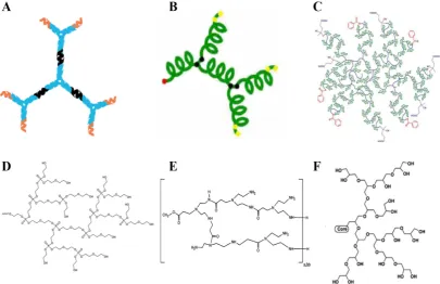 Figure 2. Schematic structures of biodegradable or biocompatible dendritic polymers. (a) DNA dendrimer [21], (b) hyperbranched peptide [22], (c) hyperbranched glycopolymer [23], (d) hyperbranched polyphosphate [18], (e) hyperbranched polyamide [24], (f) de
