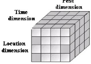 Figure 1: Simulation of dimensional cube of rice pests  