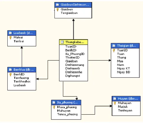 Figure 5: Snowflake schema 