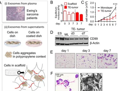 Figure 1. Ewing’s sarcoma type 1 model in a 3-dimensional Collagen 1- Hyaluronic acid scaffold (A) Model systems used to isolate and analyze exosome size and (SK-N-MC cultured in Col1-HA scaffolds) at day 3 and day 7