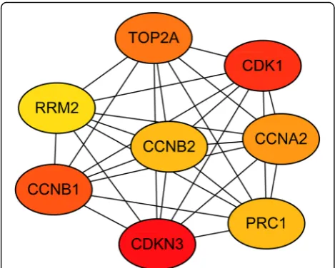 Fig. 3 Hub genes screened from protein–protein interaction network