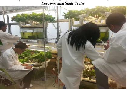 Figure 3.  CUCE-NYC Hydroponics Mini-units at the Brooklyn 
