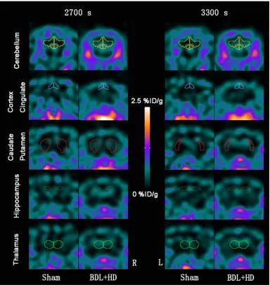 Figure 3. Representative 18F-DPA-714 micro-PET images of several regional brain regions at 2700 s and 3300 s time points between Sham and BDL+HD groups